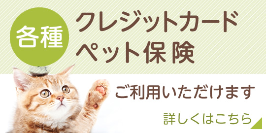 各種クレジットカード・各種ペット保険、ご利用いただけます。|詳しくはこちら