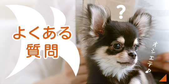 よくあるご質問|詳しくはこちら