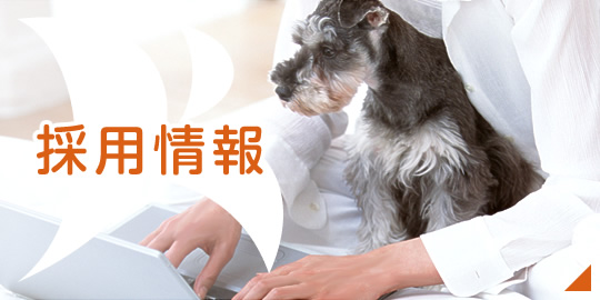 私達と一緒に働きませんか?採用情報|詳しくはこちら